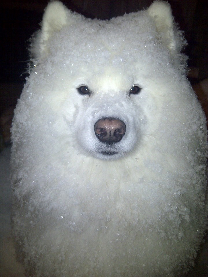 Pretvaram se u snjegovića i to mi je baš kul!