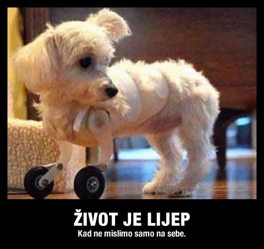 Ako nikad ne pomogneš drugome, tko će pomoći tebi?