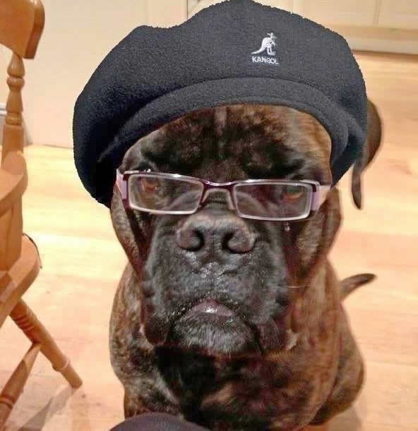 Say "what" again, I dare you, I double dare you!