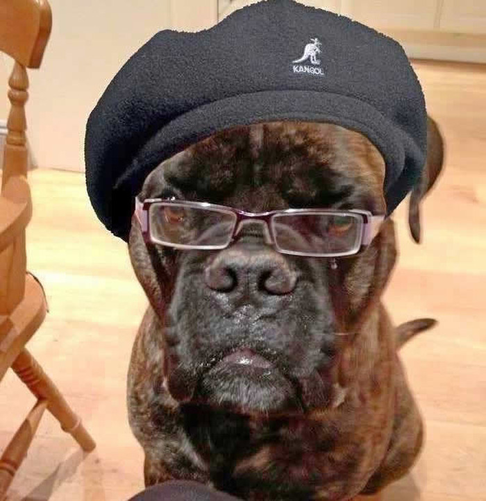 Say "what" again, I dare you, I double dare you!