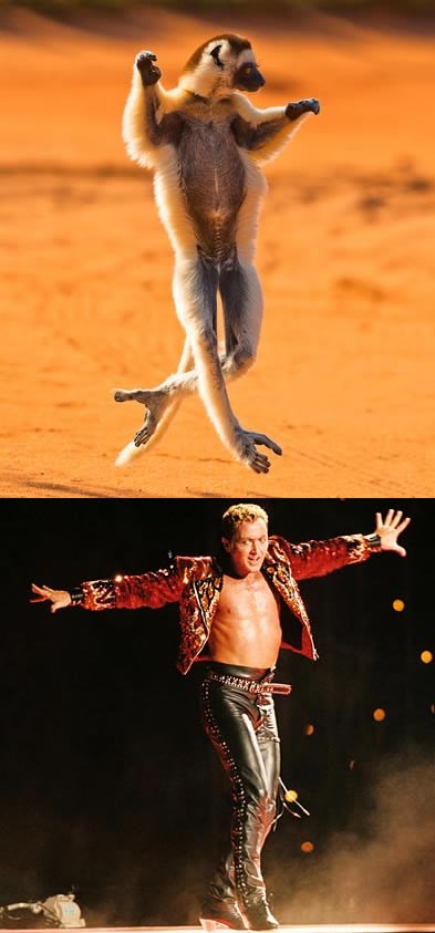 Lord of the dance - evolucija