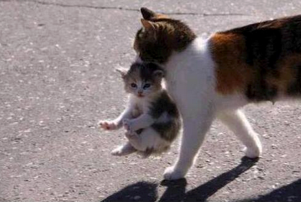 a još me malo pusti u parku....plizzz