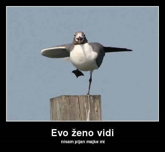 Kad ti žena ne vjeruje da nisi pio