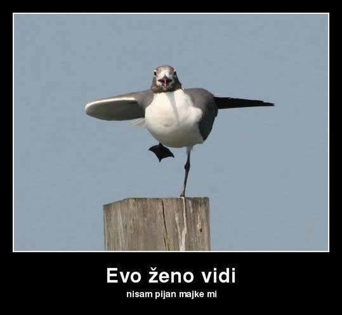 Kad ti žena ne vjeruje da nisi pio