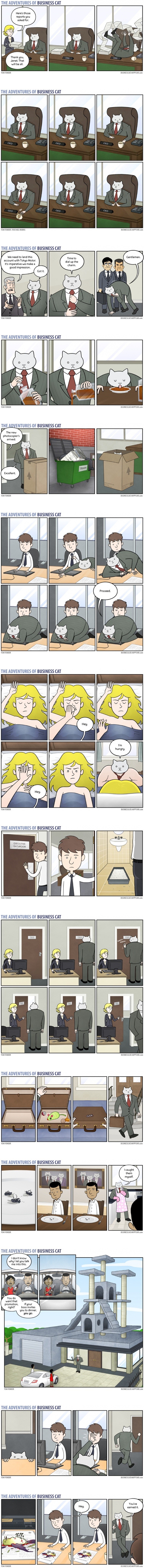 Avanture poslovne mačke: Genijalni stripovi koji ne završavaju onako kako ste očekivali
