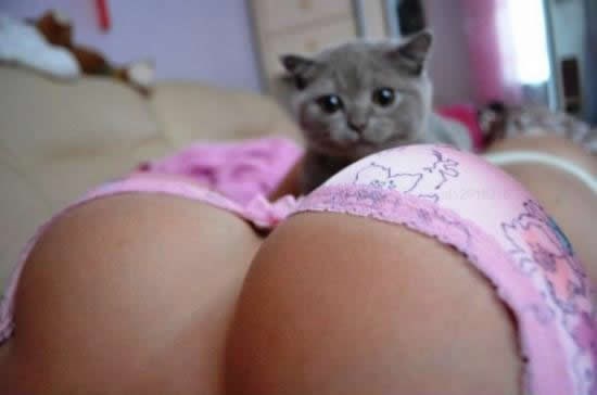 Znaš da imaš isti pogled kao maca sa slike