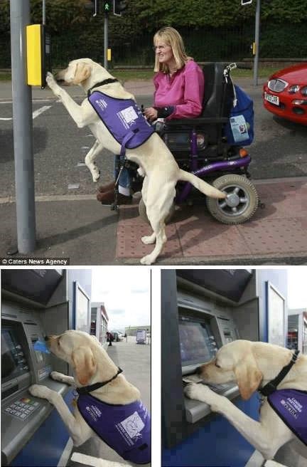 čak i bankomat koristi..