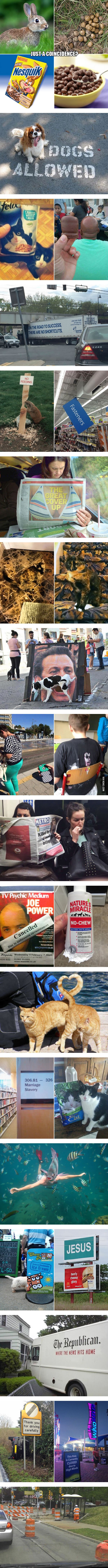 Vjerujete li da su ovo samo "obične slučajnosti"?