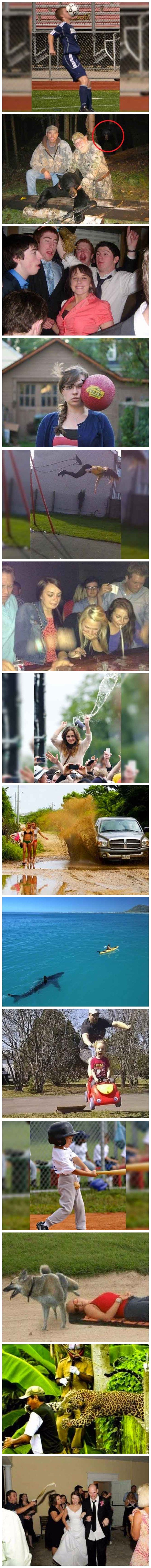 HIT GALERIJA: Fotografirano u pravom trenutku