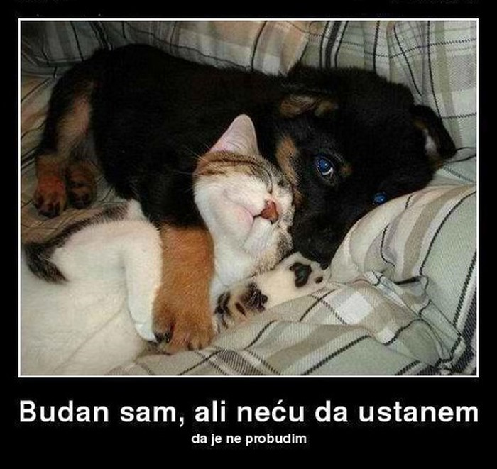 pas i maca..