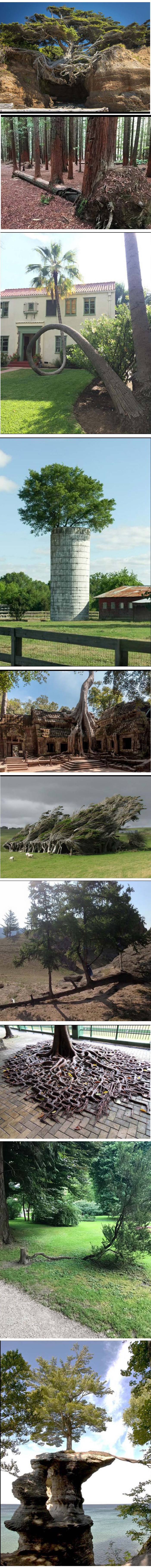Ove su fotografije dokaz da je sila prirode jača nego što bilo tko može zamisliti