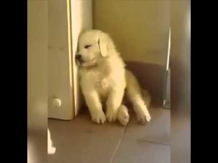 DOBRO JUTRO! Još samo pet minutaaa..