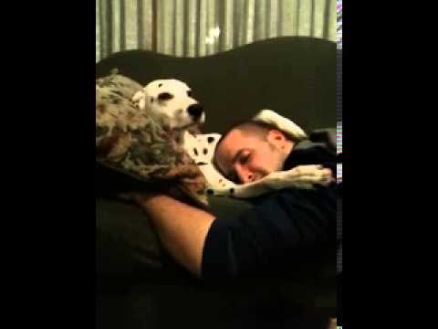 VIDEO: Kad te ovaj slatkiš pomiluje šapicom, sve brige nestaju