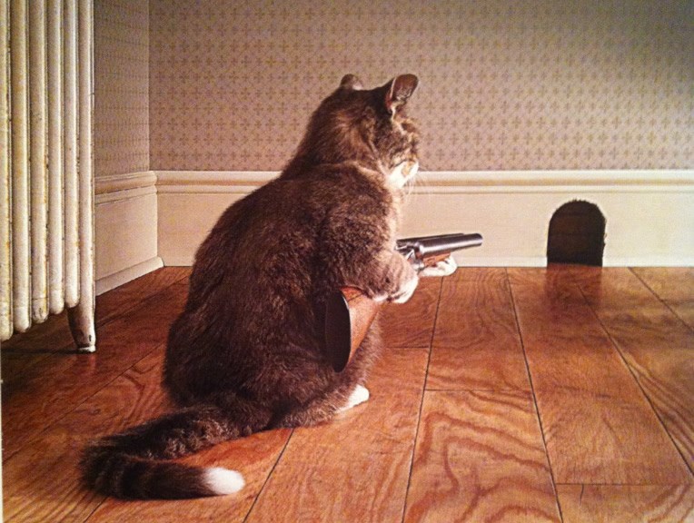 Crtić postao horror: Tomu prekipilo, punit će ga sačmom!