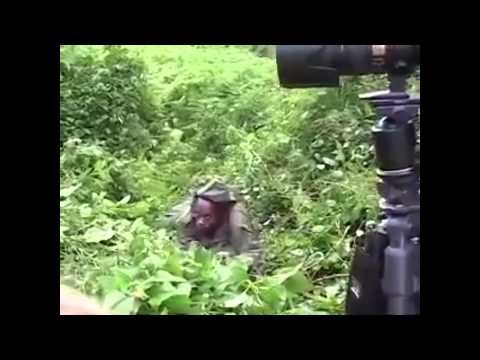 VIDEO: Brutalno snažni gorila lagano dao do znanja što ti može napraviti!