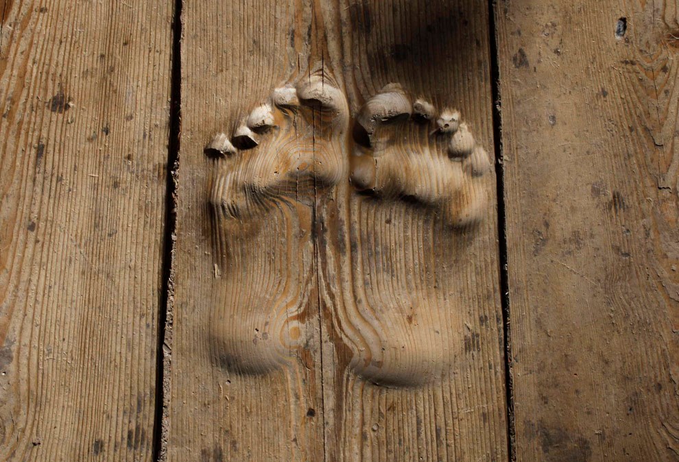 Otisci stopala u drvetu gdje je molio 12 godina svaki dan