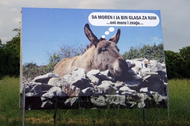 I magarac bi na izbore