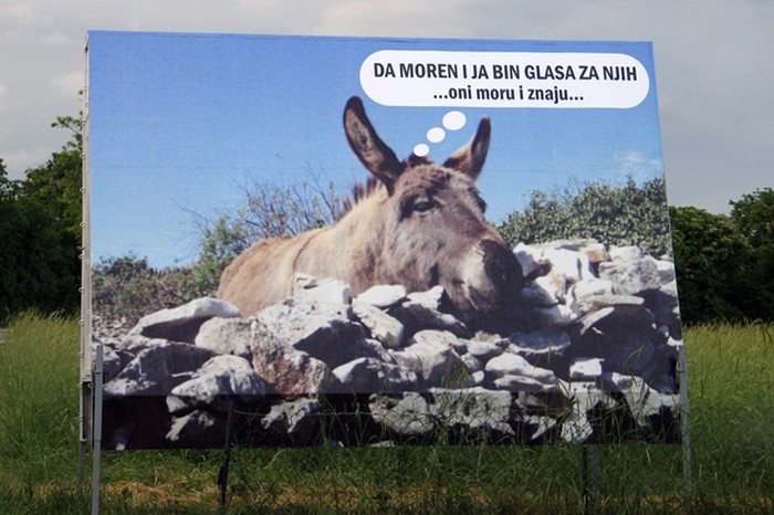 I magarac bi na izbore