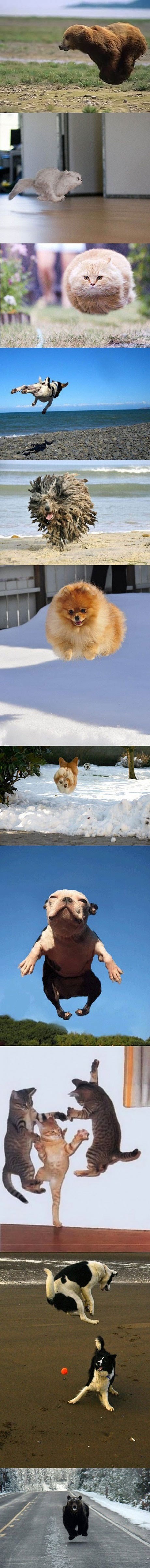 Život je zabavniji kad se tu i tamo stisne Pauza