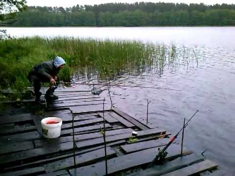 ribolovac ima čelično strpljenje..video