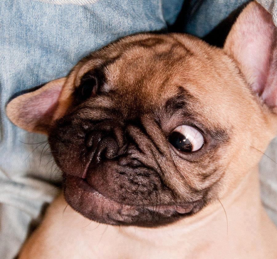 Saznao da ni sutra ni preksutra nije petak