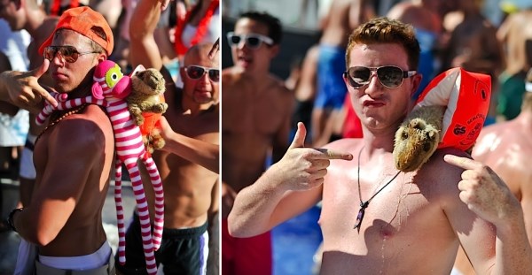 Dečki skužili da ništa od komada pa na Zrće poveli plišance