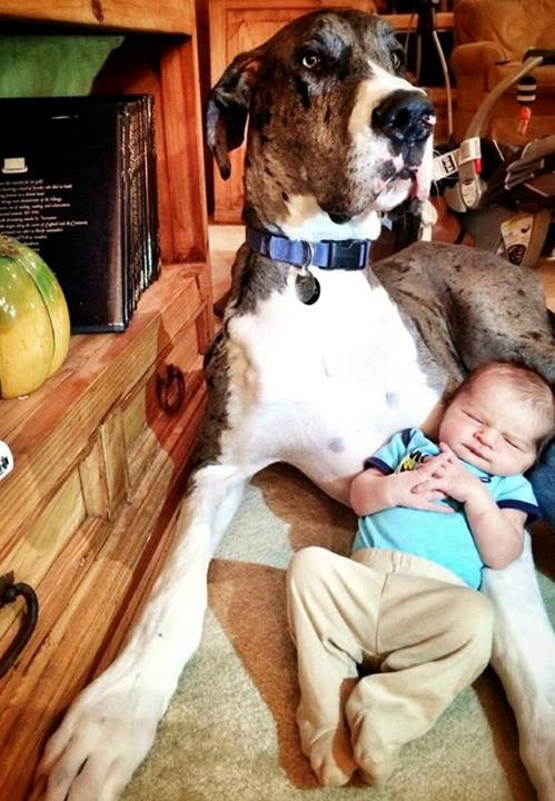 I šta da ja sad radim s njim? Alo, ljudi? Jeste skrenuli!?