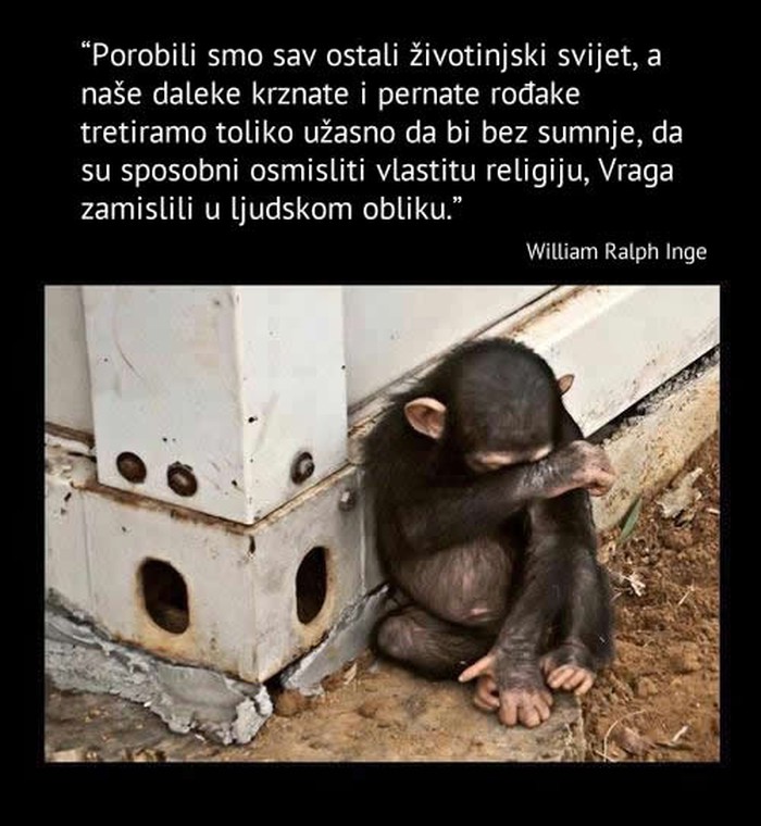 Kada će čovjek konačno postati Čovjek?