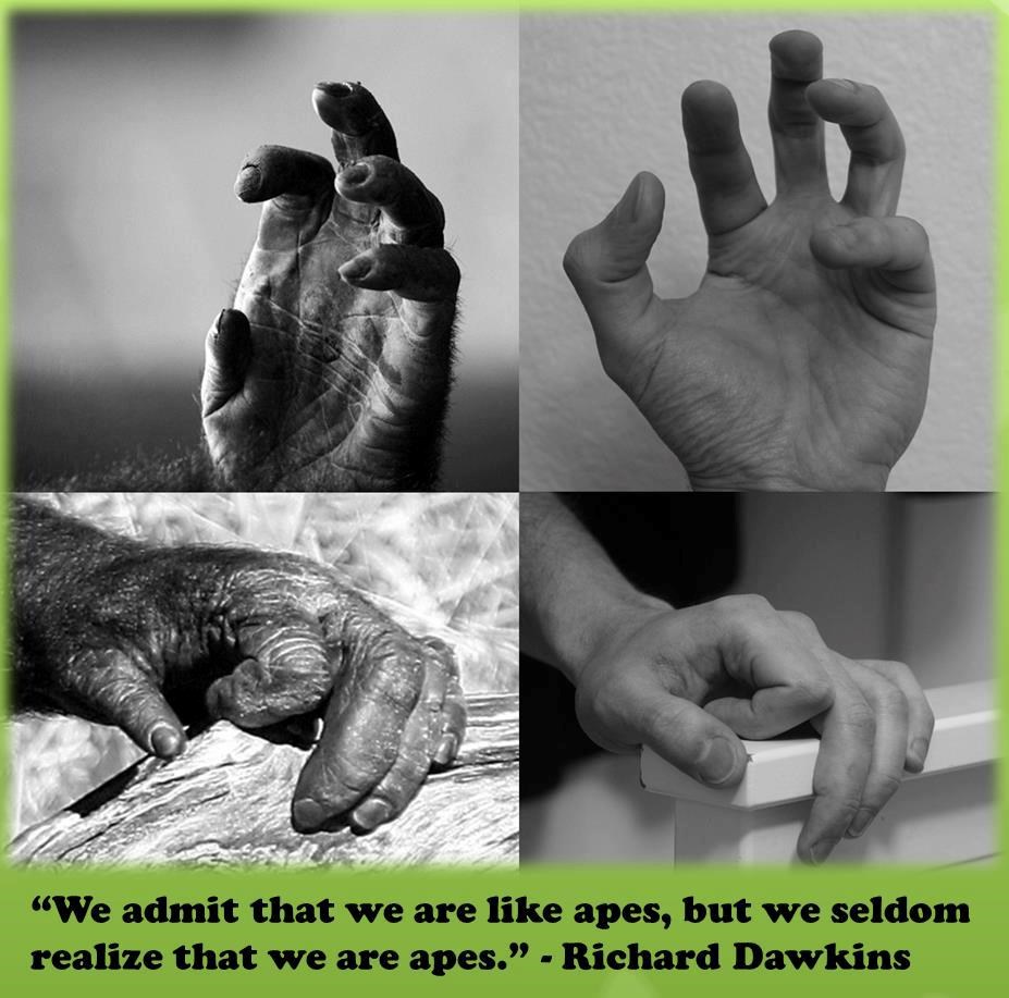 Shvaćamo li zaista da smo i mi životinje?