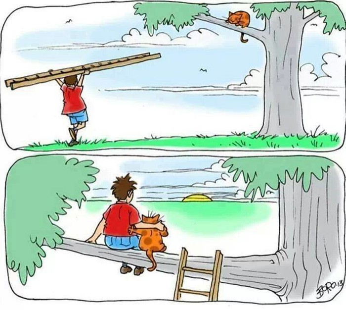 Ne spašavaj mačku, spasi sebe
