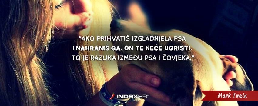 Psi ne znaju što je nezahvalnost