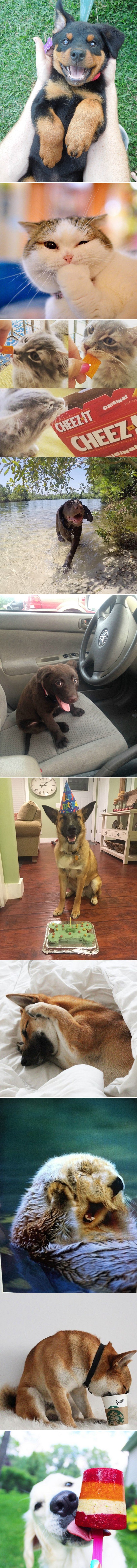 Oni znaju kako uživati u životu, zato ih i obožavamo