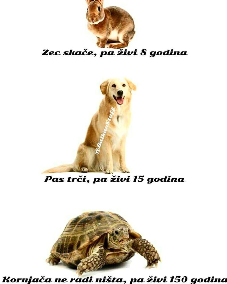 samo opušteno..:)))