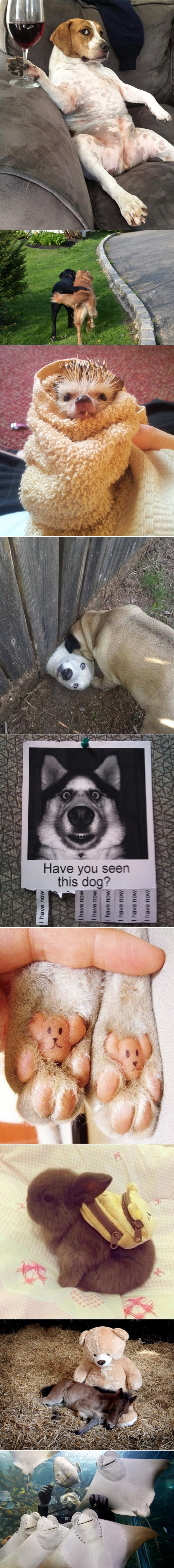 Sreća je svuda oko nas, samo je treba prepoznati