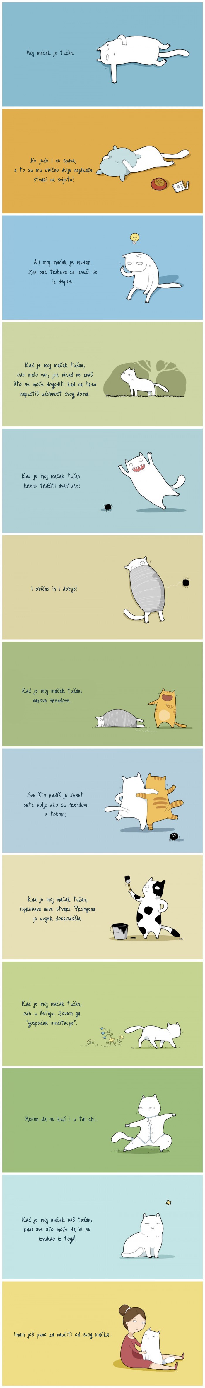 Imamo još puno za učiti od životinja