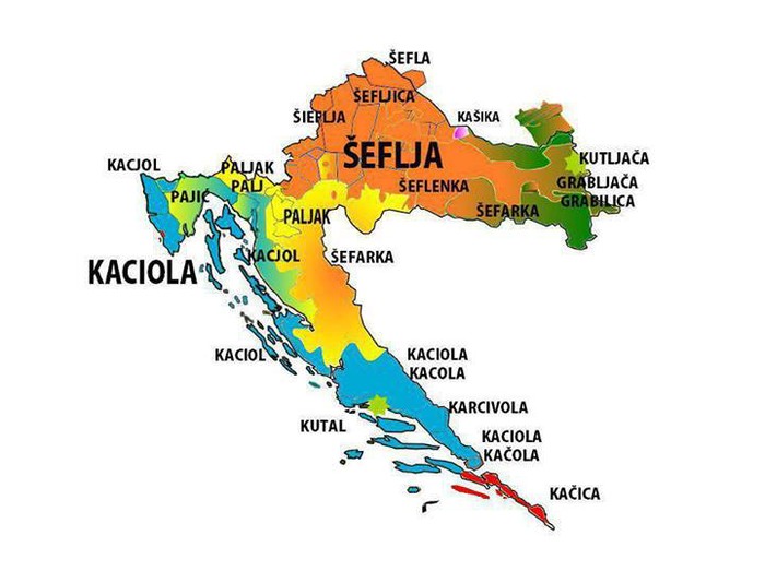 Znate li što je kačica?