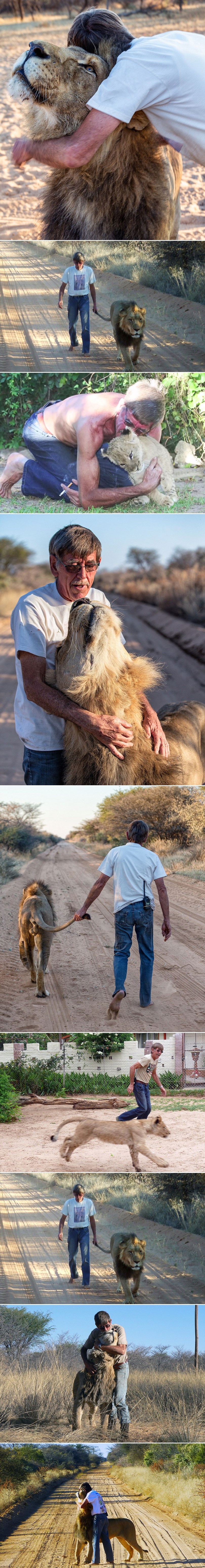 GALERIJA: Čovjek i lav - priča o 11 godina predivnog prijateljstva