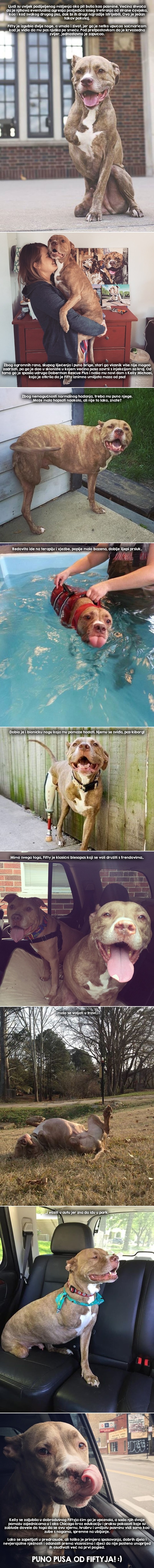 GALERIJA: Priča o dvonogom pit bullu koji je pogledao smrti u oči i dobio novu šansu!