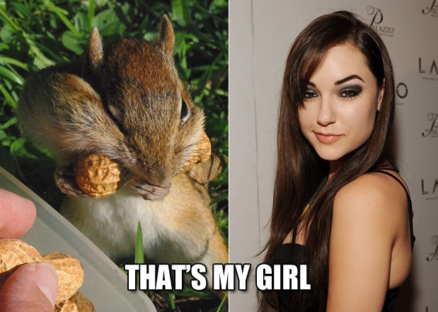 Dokaz da nije bitna veličina, nego tehnika