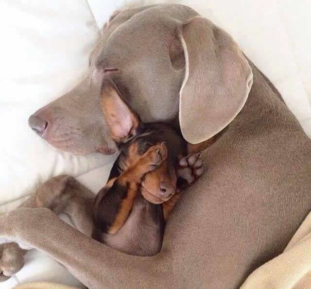 Bogatstvo nije pun račun, već puno srce ljubavi