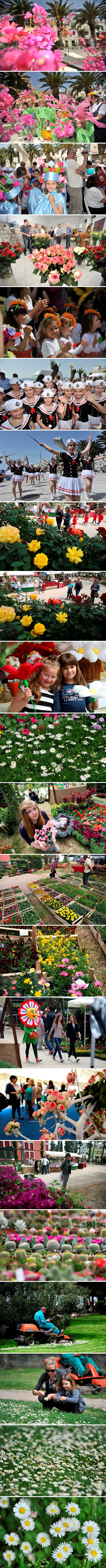 Rascvjetana Dalmacija