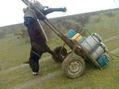 Baš me briga, ja to ne vučem, jok!