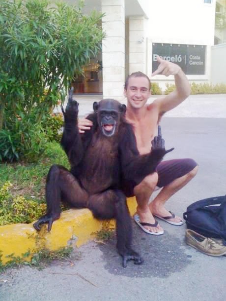 Bezobrazni čimpanza svima nabacio srednjaka, bitches!