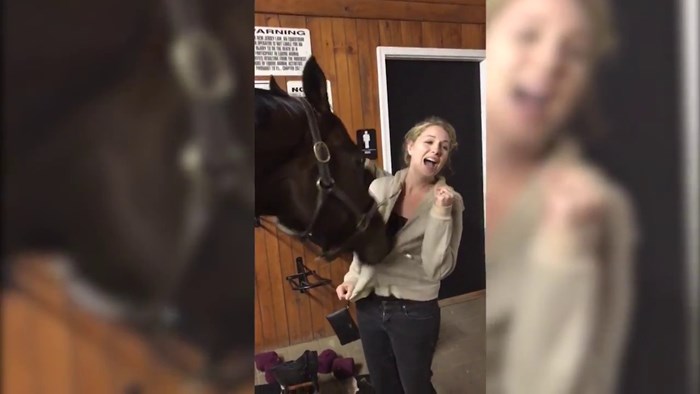 VIDEO Konj joj je počeo grickati duksericu. Kada su vidjeli zbog čega, rasplakali su se od smijeha!