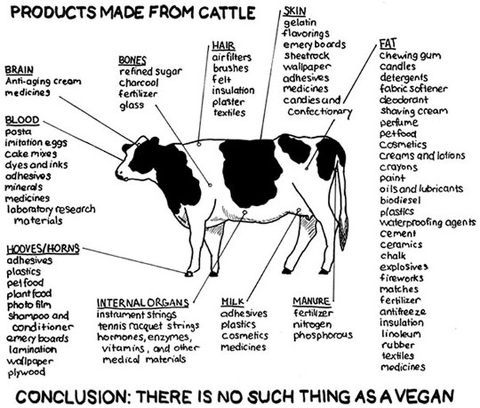 Vegani ne postoje: Nemaš pojma što sve rade od krava