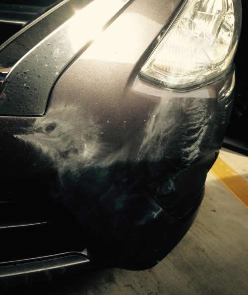 Kad naletiš na jadnu pticu na autoputu