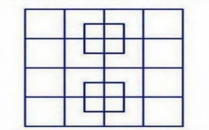 Testirajte koncentraciju: Koliko kvadrata vidite?