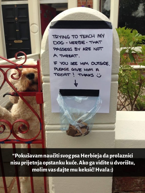 OVAKO se brine za ljubimce!