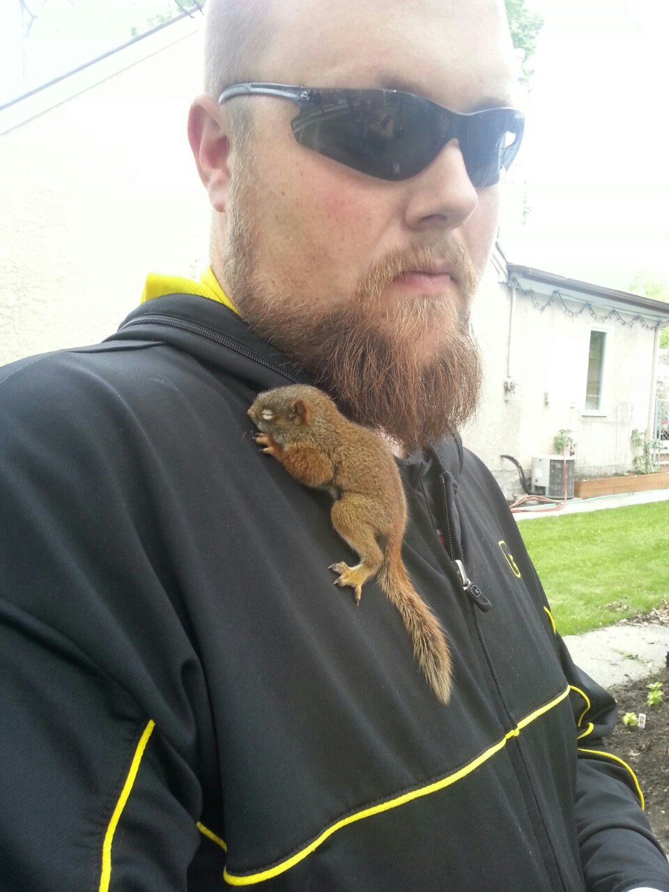 Izgleda ti kao grubijan? Vjeverica ne misli tako!