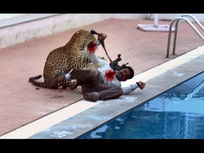 Brutalni napad leoparda pokazao koja je to moćna zvijer!